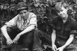 Young
Hobos